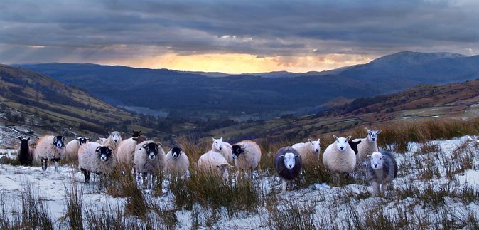 6 Hour Private Tour of the Lake District.