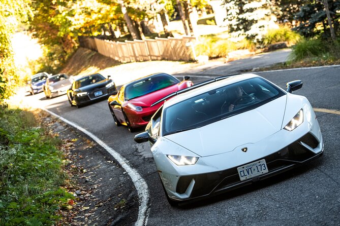 6 HR VIP Supercar Experience Including Lunch - Key Points