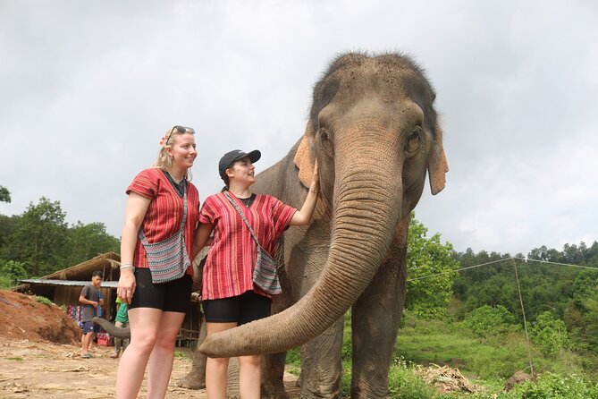 1 Day Eco Elephant Excursion - Safety Guidelines