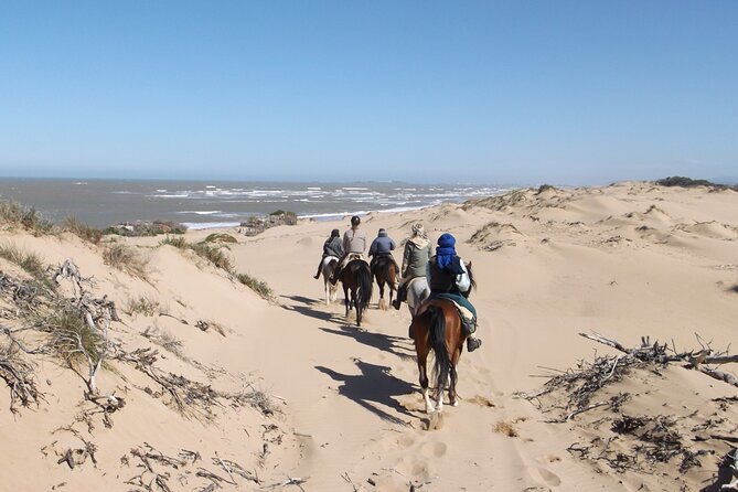 1 Day Horseback Ride With Lunch - Directions