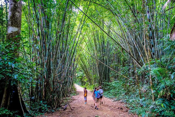 1 Day Khao Sok Jungle Safari and 2 Days Cheow Lan Lake Explorer From Krabi - Booking Details