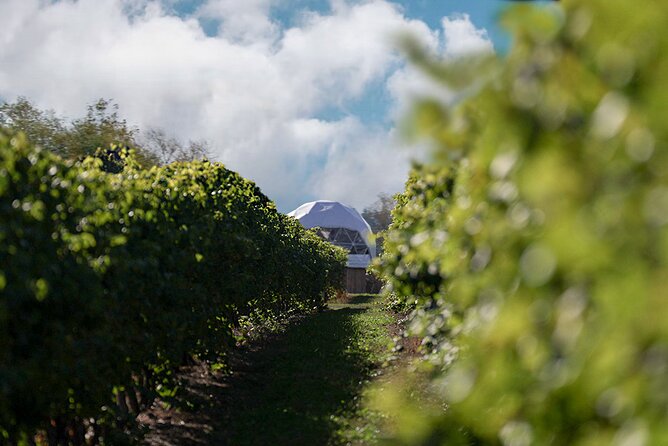 1 Hour Private Vineyard Dome Experience in Niagara-on-the-Lake - Directions