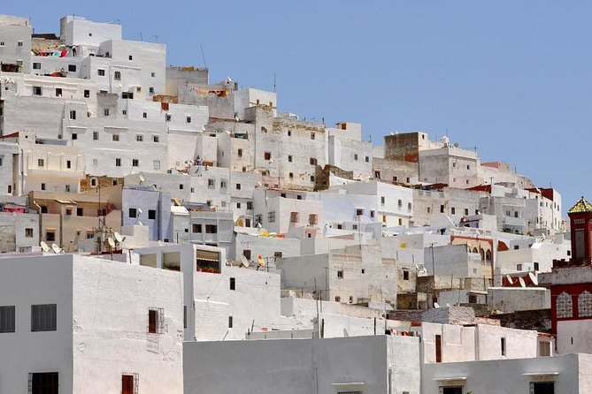 12 Nights Private Best Tour of Morocco - Traveler Reviews