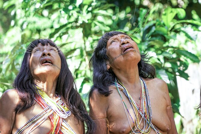 15-Day Expedition to the Matses Indigenous Territory - Traveler Experience and Visual Insights