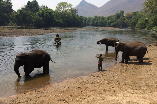 2 Day 1 Night Elephant World Kanchanaburi From Bangkok - Common questions