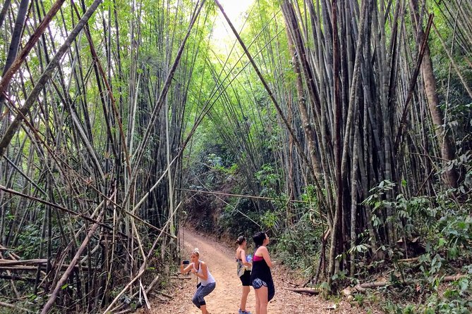 2-Day Khao Sok Jungle Safari From Krabi - Traveler Reviews and Ratings