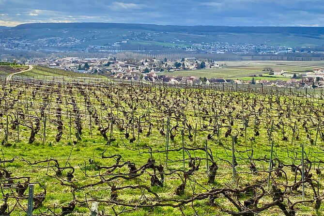 2-Day Private Tour to Champagne & Chablis: Moët Et Chandon Etc, 15 Wines Tasting - Tour Itinerary Highlights
