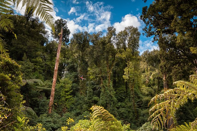 2 Day Rotorua Experience: Waitomo Caves, Maori Culture & Ziplining From Auckland - Safety and Equipment Requirements