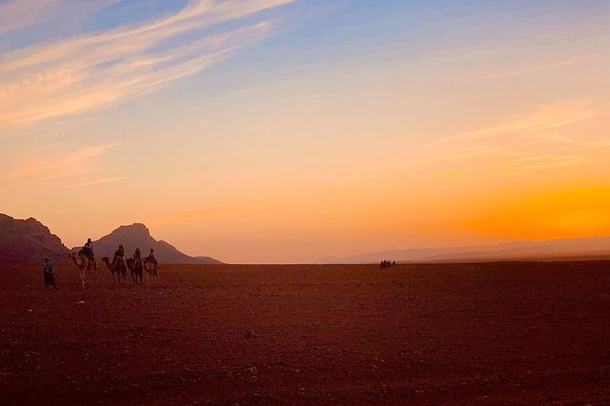 2-Days Private Tour From Marrakech to Zagora Desert With Night in a Luxury Camp - Traveler Resources Access