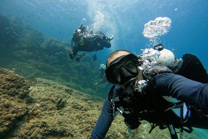 2 Dives for Certified Divers in Fujairah With Lunch & Transfer - Last Words