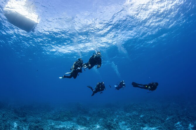2 Dives in the Morning for Certified Divers in Bora Bora - Common questions