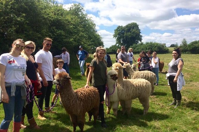 2-Hour Alpaca Farm Experience in Kenilworth - Additional Details and Cancellation Policy
