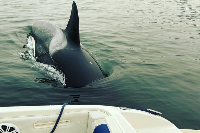 2 Hour Chartered Boat Tour From Deep Cove North Vancouver - Booking and Contact Details