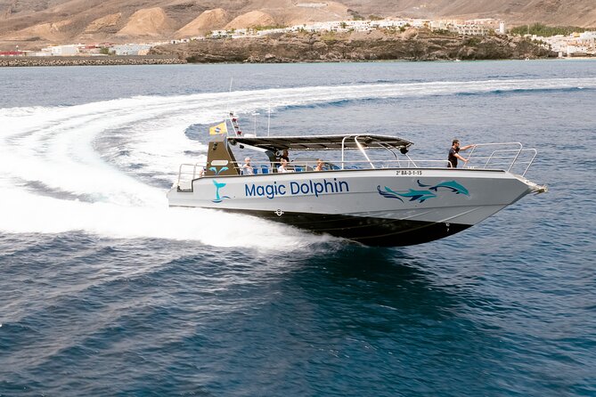 2-Hour Dolphin Watching Experience in Fuerteventura - Secure Your Spot for the Tour