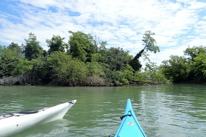 2 Hour Night Kayak Tour in Venice, Premium Experience With Sunset - Last Words