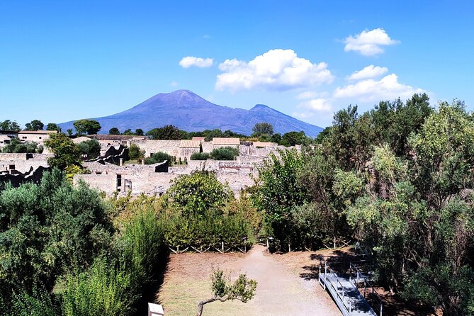 2 Hours Private Tour in Pompeii With Archaeologist - Customer Support Assistance