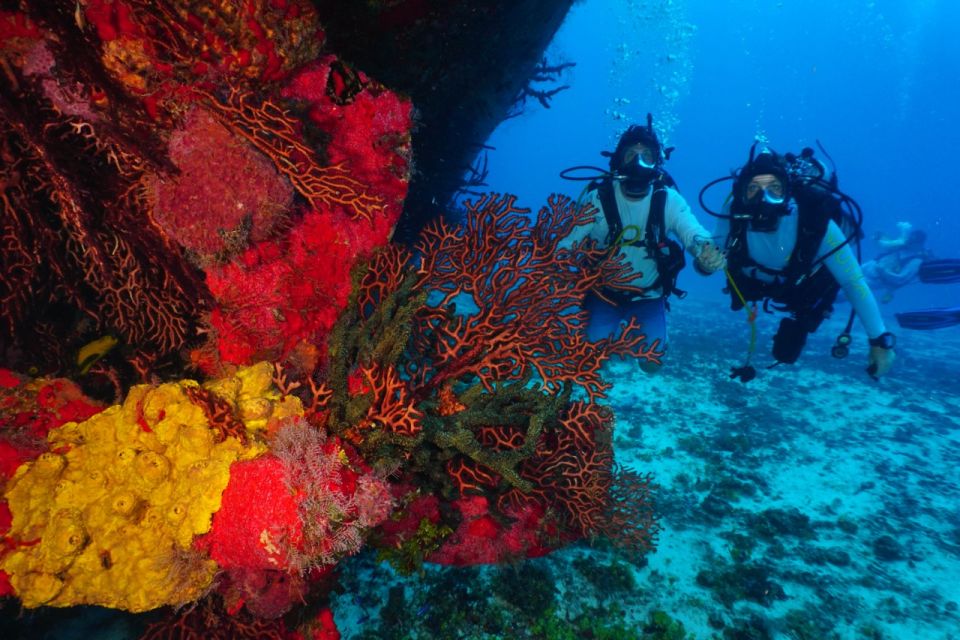 2 Tank Morning Cozumel Dives for Certified Divers - Common questions