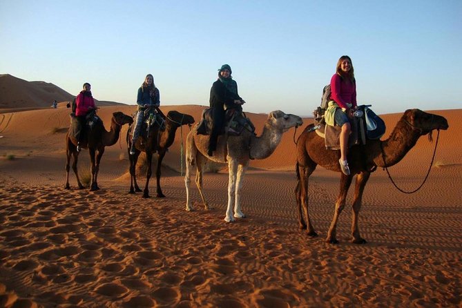 3 Days Merzouga Desert From Marrakech Camel Trek - Detailed Itinerary