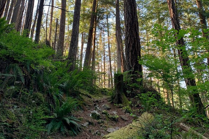 3-Hour Bike Tour - Stanley Park & the World-Famous Seawall - Additional Information