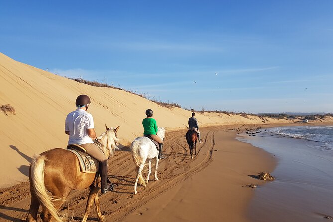3-Hour Private Ride Between Beach and Dunes - Common questions