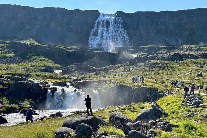 3,5-Hour Sightseeing Tour To Dynjandi Waterfall - Last Words