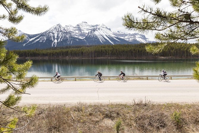 4-Day Bicycle Tour Through Canadian Rockies - Common questions
