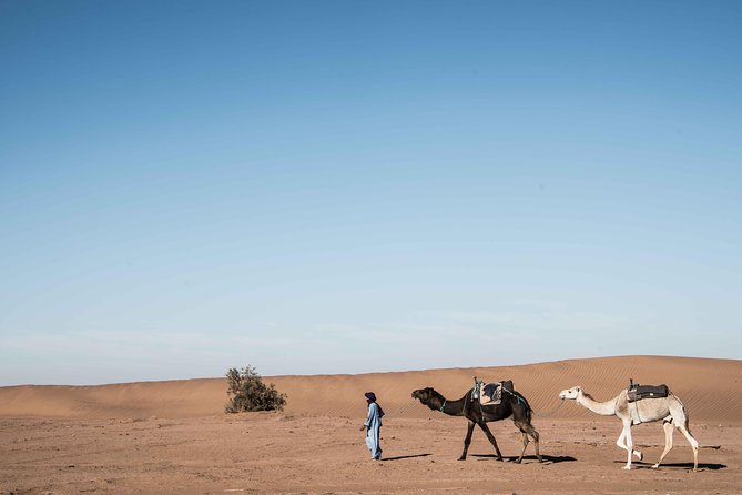 4 Day Desert Tour From Fez to Marrakech Through Merzouga, Valleys & Ouerzazat - Common questions