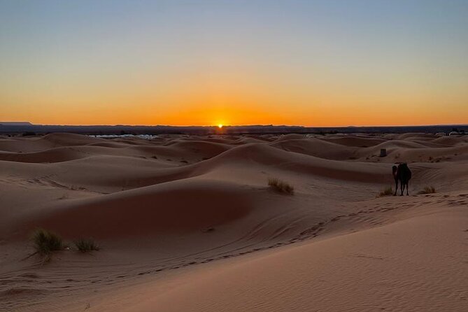 4 Days Desert Tour From Marrakech to Erg Chebbi Dunes - Last Words