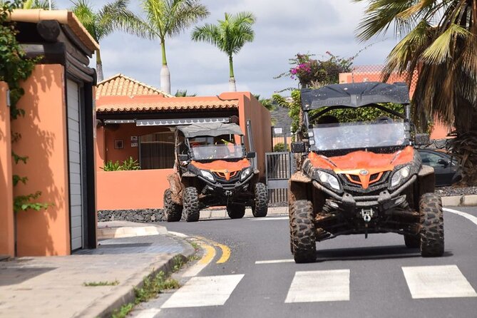 40% Off-Road Buggy Tour in Tenerife - 2 Hours - Common questions