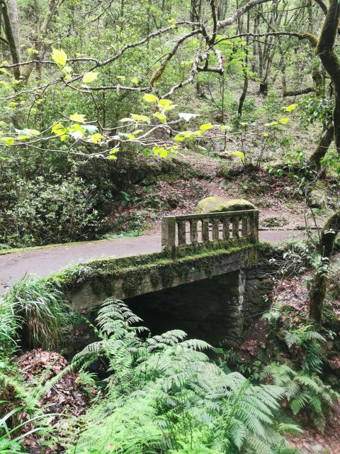 4x4 Jeep Tour to the East & Northeast of Madeira - Last Words