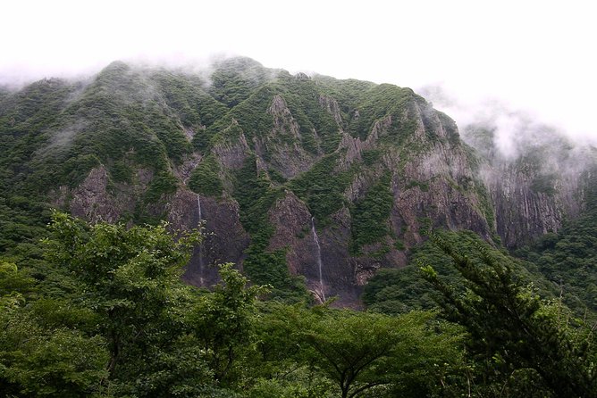 [5-Days Jeju] Private Customized Hiking(Hallasan & Olle Course) With Mountaineer - Last Words