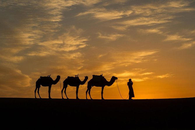 6 Days Tour From Casablanca to Marrakech via Imperiale Cities and Sahara Desert - Inclusions and Experiences