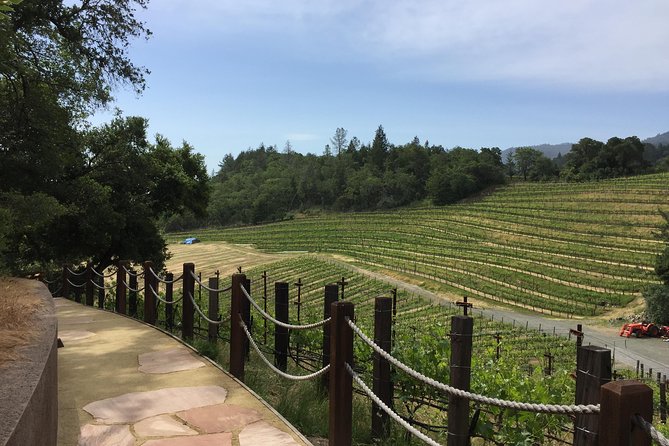 6-Hour Private Wine Country Tour of Napa Valley (Up to 6 People) in Large SUV - Pricing and Terms