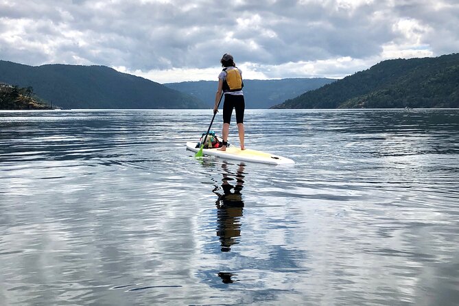 6 Hour SUP Finlayson Arm Fjord - Booking Information and Availability