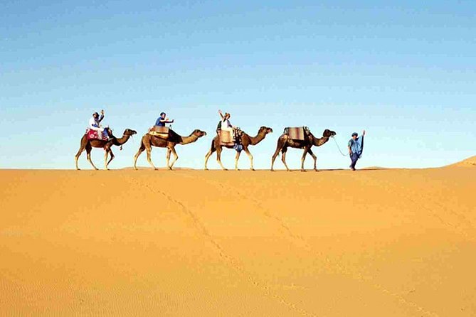 7-Day Private Guided Desert Tour From Casablanca to Marrakech - Last Words