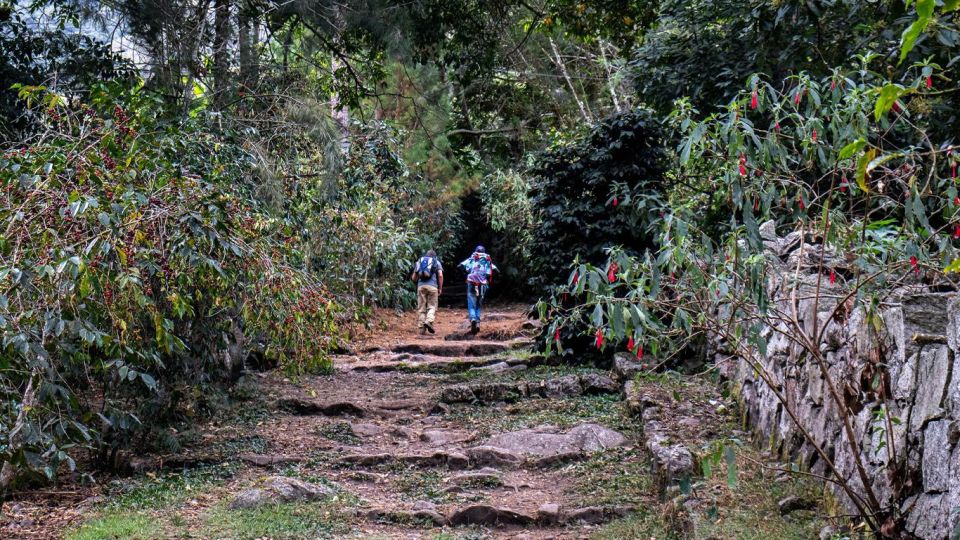 8 Days/7 Nights: Trek From Choquequirao to Machu Picchu. - Last Words