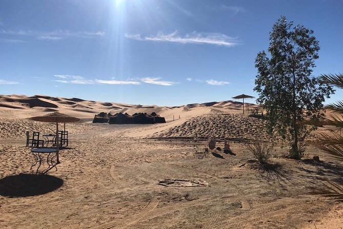 8 Days Private Tour Sahara Desert,Marrakech&Chefchaouen-Morocco - Verified Reviews