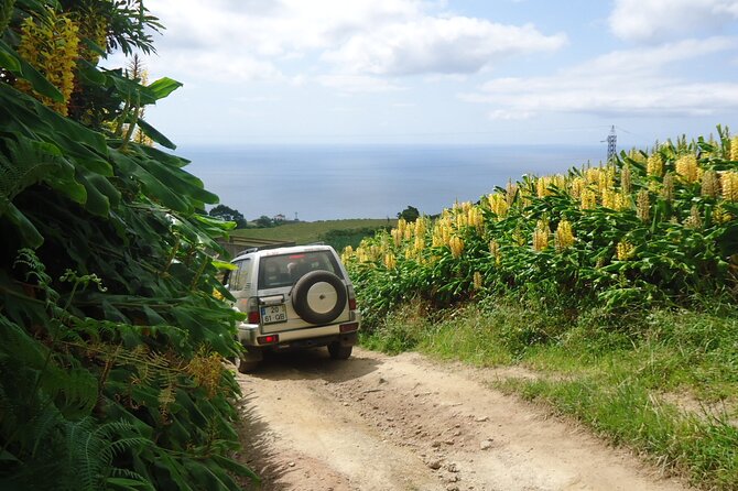 8-Hour Private Tour in 4x4 Vehicle From Ponta Delgada - Last Words