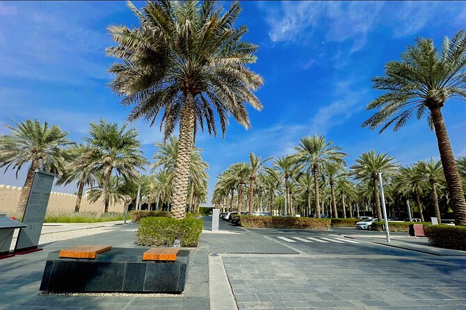 8 Hours Al Ain City Tour Without Lunch - Optional Add-Ons and Upgrades