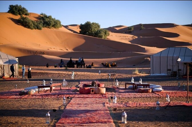 8 Luxury Days Tour Fez to Marrakech via Desert With Transfers Airport - Desert Safari Experience