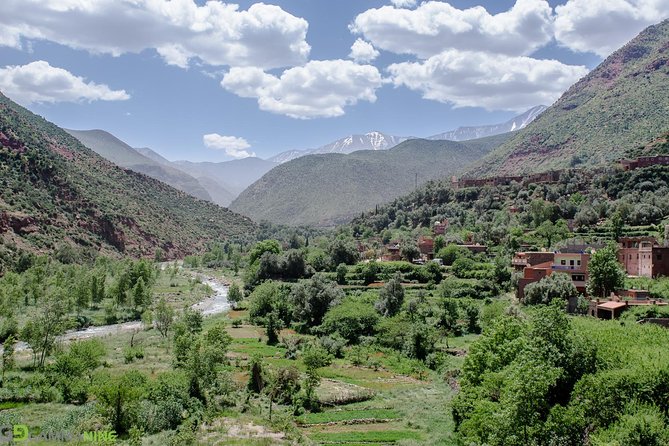 A Day in the Ourika Valley From Marrakech - Return Journey to Marrakech