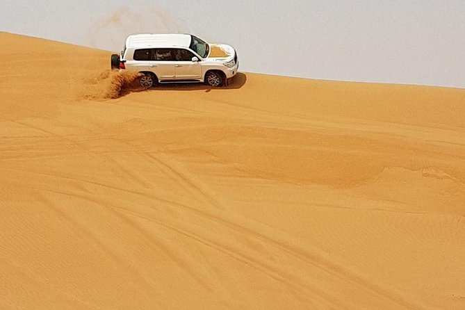 Abu Dhabi Desert Safari 4x4, BBQ Dinner, Camel Ride - Traveler Feedback