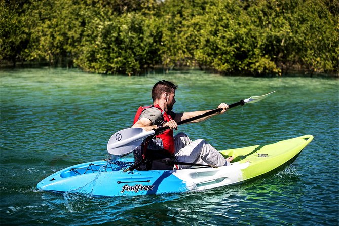 Abu Dhabi Eastern Mangrove Lagoon National Park Kayaking - Guided Tour - Tour Experience and Highlights
