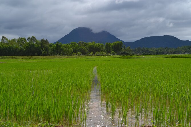 Adventure Bike Tour From Hoi an - Common questions