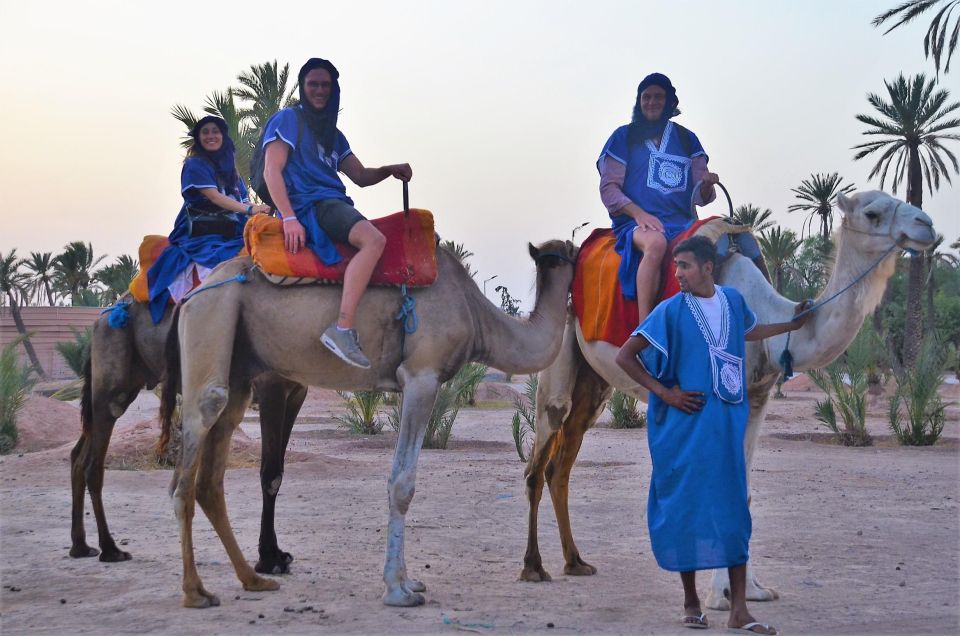 Adventure Quad Bike and Camel in Marrakech Palmeraie. - Common questions