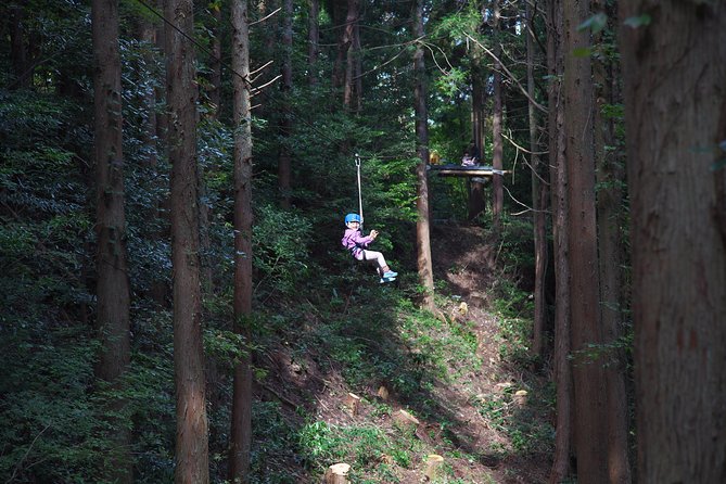 Aerial Athletics (Zipline Adventure) - FAQs Addressed