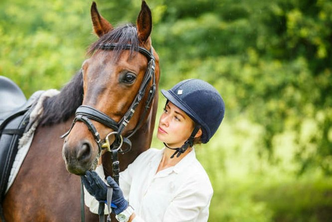 Agadir 2-Hour Private Horse Riding Experience With Pickup - Booking Process