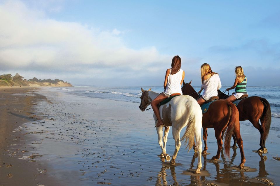 Agadir: Beach Horse Riding Tour - Directions