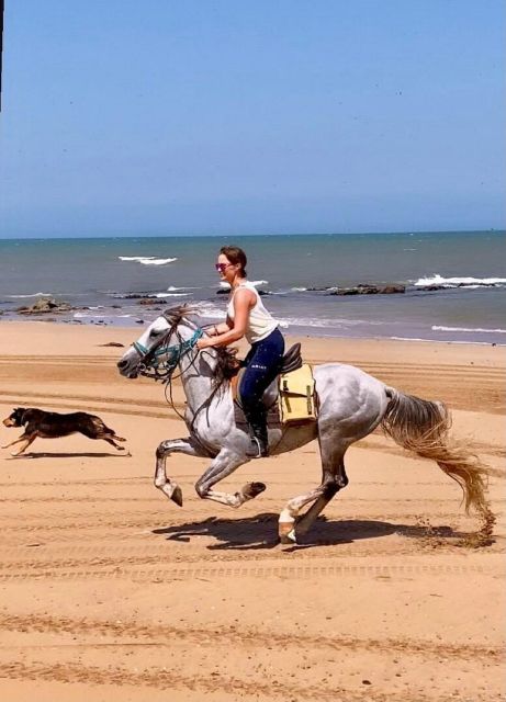 Agadir: Beach Sunset Horse Riding Tour With Transfer - Common questions