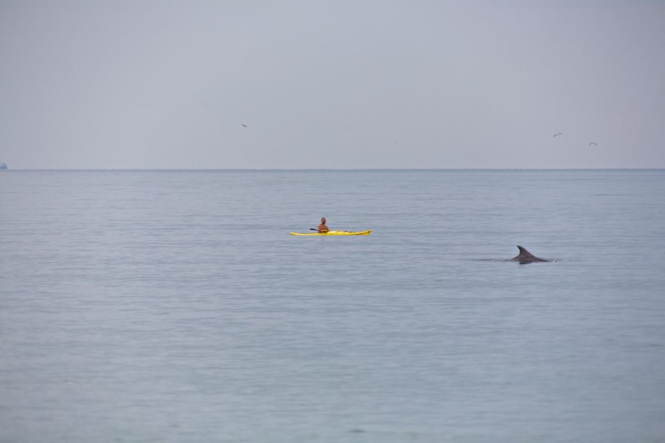 Agadir Boat Trip Fishing & Swimming Adventure - Last Words